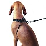 Side by Side - Ausbildungsgeschirr aus dem Hause Hunter / kein Ziehen mehr / Kein Würgen mehr / einfacher Gebrauch / Verstellbar / Waschbar 30° / Größe : L