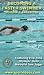 Becoming A Faster Swimmer: Freestyle Swimming