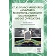 Atlas of Indocyanine Green Angiography by Gabriel Coscas