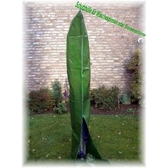 Schutzh�lle f�r W�schespinne, Sonnenschirm Marktschirm XXL