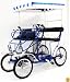 International Surrey Company Deluxe Surrey (Blue)