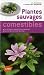 Plantes sauvages comestibles 