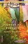 Journey to Forever (Larger Print Love Inspired #301)