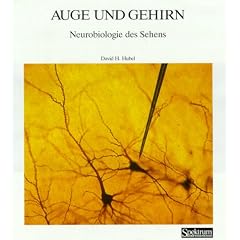 Spektrum-Bibliothek, Bd.20: Auge und Gehirn. Neurobiologie des Sehens