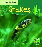 Cover of Read and Learn by Patricia Whitehouse 1844437337
