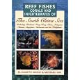 Reef Fishes, Corals and Invertebrates of the South China Sea (Reef fishes, corals and invertebrates) by  Elizabeth Wood and Michael Aw