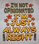 I'M NOT OPINIONATED, I'M JUST ALWAYS RIGHT TEE SHIRT-SIZE-EXTRA LARGE