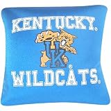 My Team Kentucky Wildcats Squishy Microbead Square Pillow