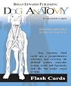 Dog Anatomy