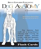 Dog Anatomy