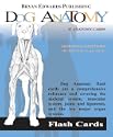 Dog Anatomy