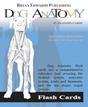 Dog Anatomy Flash Cards