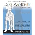Dog Anatomy Flash Cards