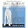 Dog Anatomy Flash Cards