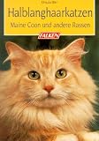Buch