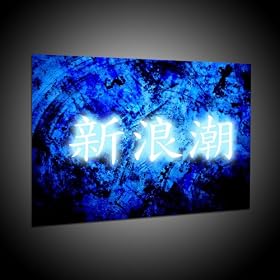 Nouvelle vague de l`impression de caract�res chinois moderne in 40x55 cm
