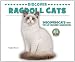Discover Ragdoll Cats (Discover Cats With the Cat Fanciers' Association)
