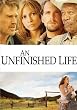 An Unfinished Life