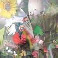 Joan Of Arc – Flowers