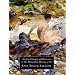 American Drawings in the Metropolitan Museum of Art Volume 3: John Singer Sargent