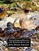 American Drawings in the Metropolitan Museum of Art Volume 3: John Singer Sargent