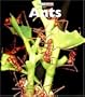 Ants