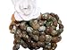 Rhyolite Tumbled Stones 8 Elastic Str. Bracelet