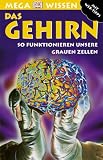 Megawissen Das Gehirn. So funktionieren unsere grauen Zellen - Richard Walker