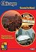 Chicago: Second to None! (Great City Guides Travel Series)