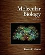 Molecular Biology (International Edition)