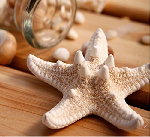 HCWS H-1 Popular Natural Starfish Fashion Special Design Temperament Hair Clip Hairpin for Women Lady Girls