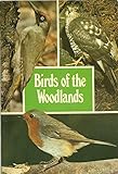 Birds of the woodlands