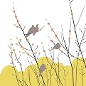 Sowash Morning Doves II Canvas Giclee(16 x 16")
