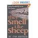 They Smell Like Sheep: Spiritual Leadership for the 21st Century