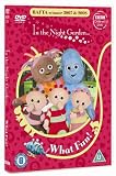 In The Night Garden - What Fun! [DVD]
