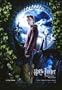 Harry Potter and the Prisoner of Azkaban - Rupert Grint as "Ron" Poster Print, 27x41