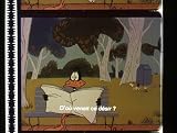 Daffy Duck: A Taste of Catnip Single Film Cell