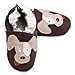 Chocolate Dog Shoes