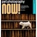 Pet Photography NOW!: A Fresh Approach to Photographing Animal Companions (A Lark Photography Book)