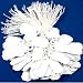 100 Arch Crown String Price Tags Jewelry Sale Displays