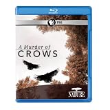 Nature: A Murder of Crows [Blu-ray]
