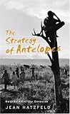 The Strategy Of Antelopes: Rwanda After the Genocide