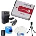 Original Sony NP-FG1 NPFG1 InfoLITHIUM Type G Rechargeable Li-Ion Battery Pack + Replacement Battery Charger + Camera Cleaning Kit For Sony Cyber-shot DSC-HX9V, DSC-HX5V Digital Camera