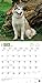Alaskan Malamutes 2016 Calendar