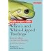 White's Tree Frogs and White-tipped Tree Frogs (Reptile and Amphibian Keeper's Guides)