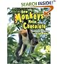 How Monkeys Make Chocolate: Unlocking the Mysteries of the Rain Forest