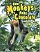 How Monkeys Make Chocolate: Unlocking the Mysteries of the Rain Forest by Adrian Forsyth ISBN 1897066783