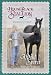 Search : Wild Spirit (Black Stallion)