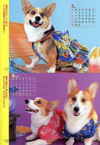 Cover image : コーギースタイル Vol.16 (タツミムック)