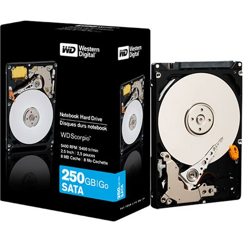 Western Digital 250GB SATA Notebook Hard Drive (Retail package)
